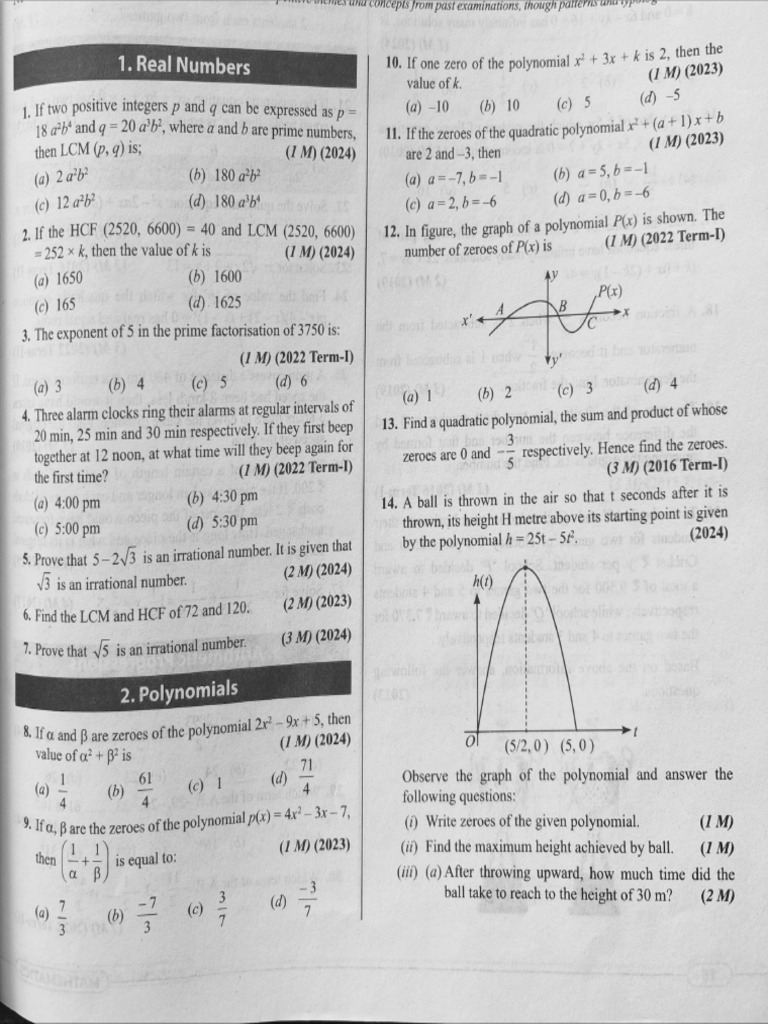 100 Important Questions | PDF