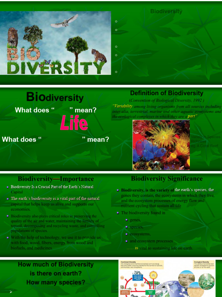 Understanding Global Biodiversity | PDF | Biodiversity | Habitat ...