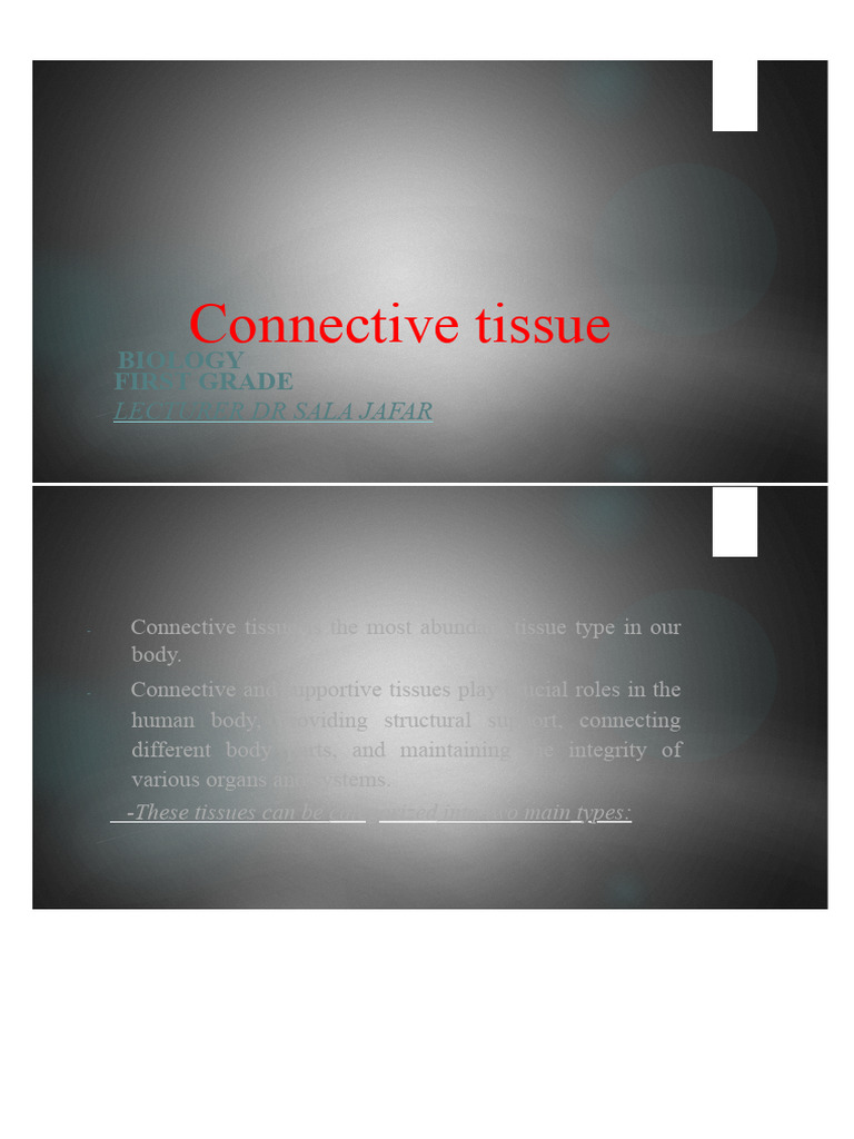 Screenshot 2025-01-14 at 12.33.06 AM | PDF | Connective Tissue | Bone