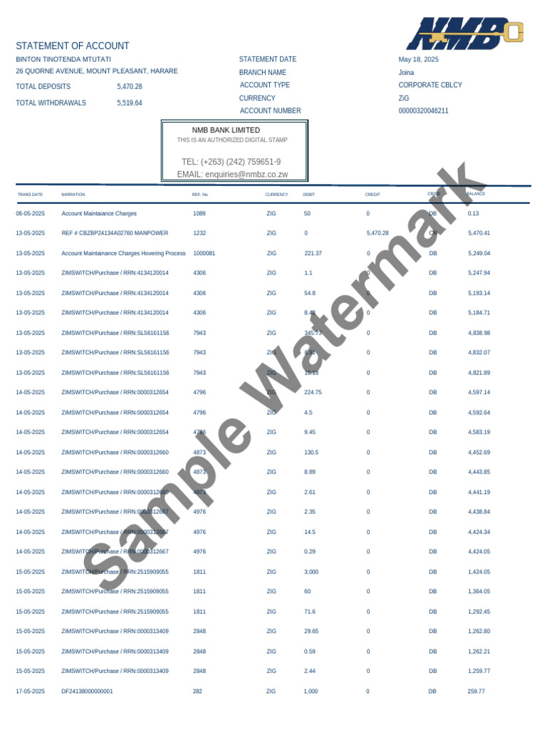 NMB Bank Statement Overview | PDF | Debits And Credits | Business Economics