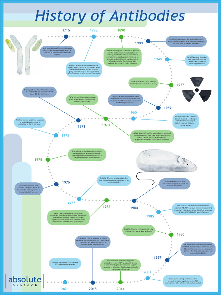 History of Antibodies Timeline | PDF | Antibody | Monoclonal Antibody