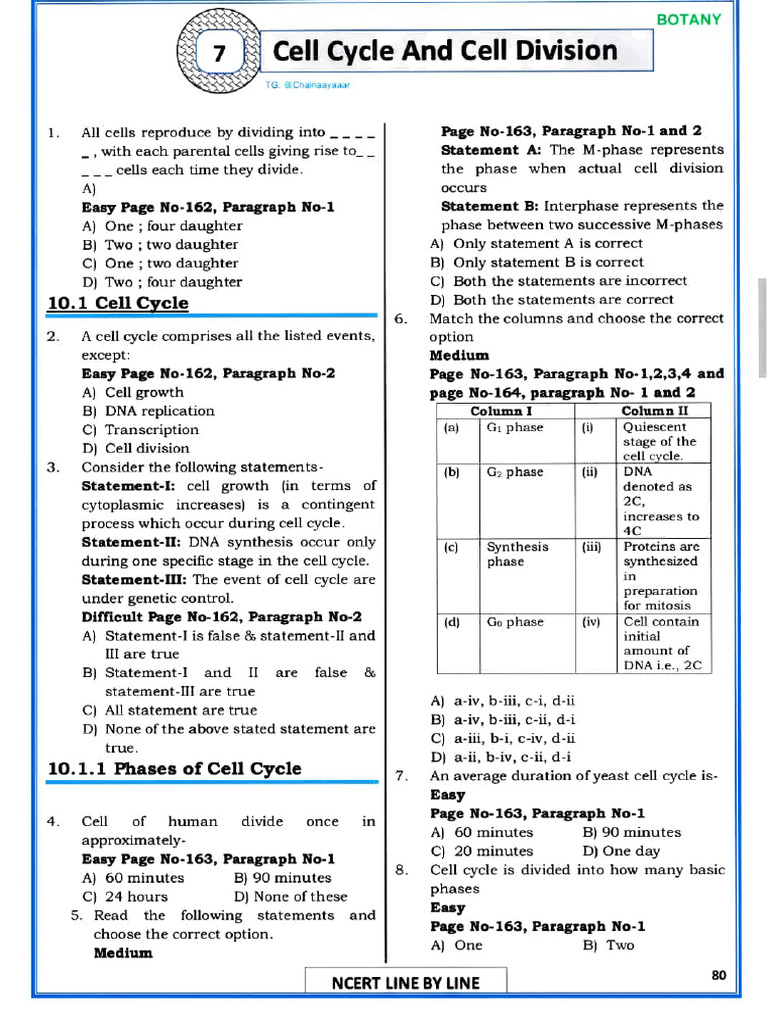 Cell Cycle and Division Overview | PDF | Meiosis | Mitosis