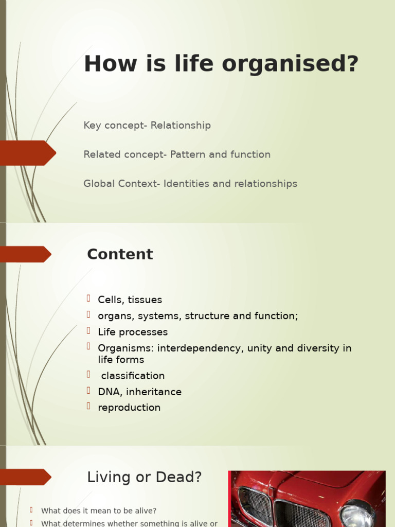Understanding Life: Organization and Functions | PDF