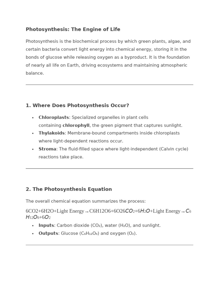Understanding Photosynthesis Process | PDF | Photosynthesis | Nature