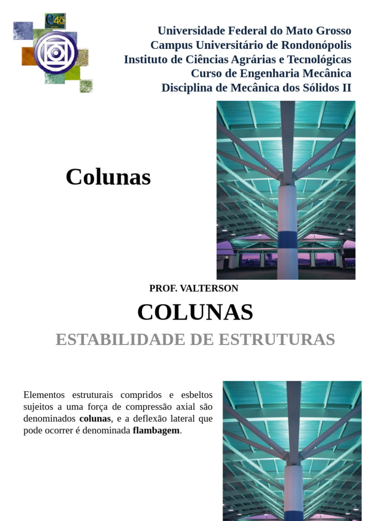 Colunas-fb910e8e38b24196974dada3b93d9a66 | PDF | Flambagem | Ciências ...