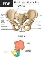 Special Projections for Pelvis and Spine | PDF | Hip | Pelvis