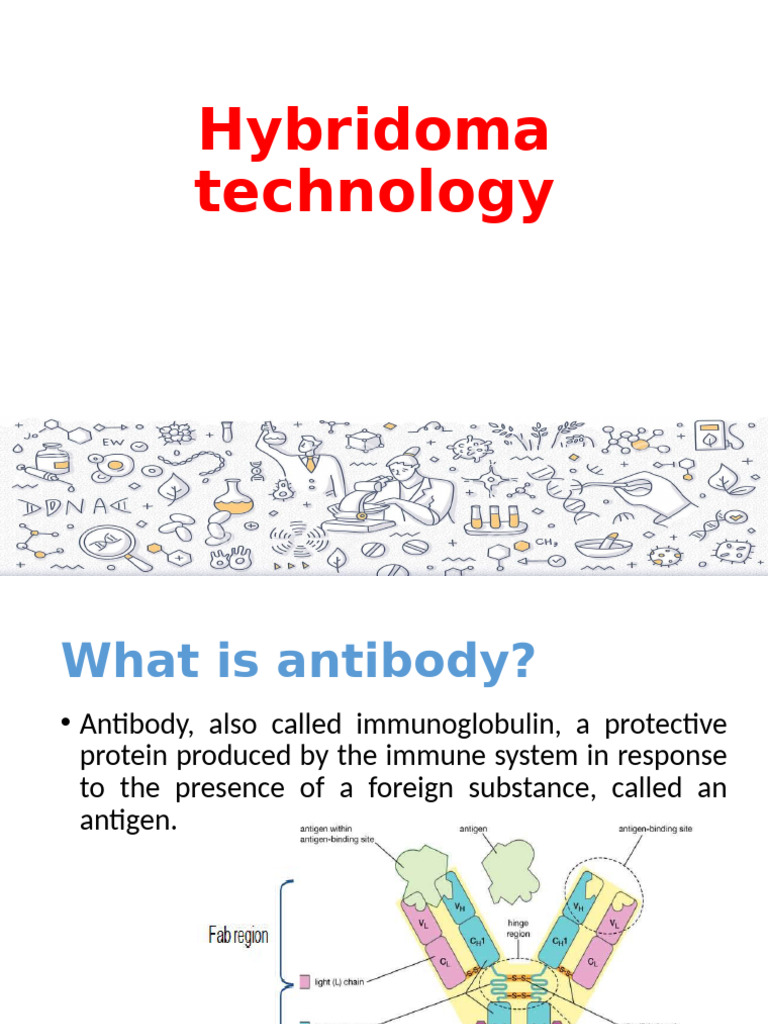 Hybridoma Technology | PDF | Antibody | Monoclonal Antibody