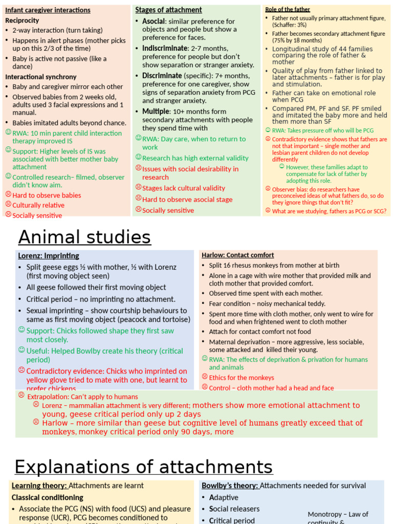 Understanding Infant Caregiver Attachment | PDF | Attachment Theory ...