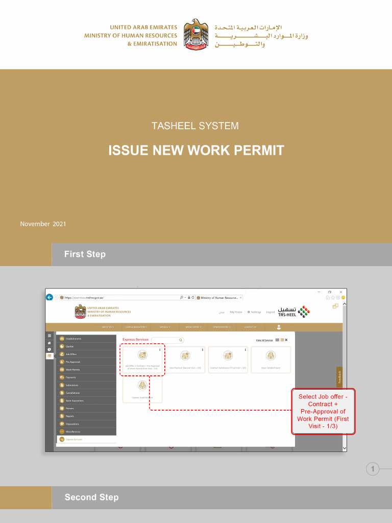 Form-Issuance of A New Work Permit - Overseas | PDF