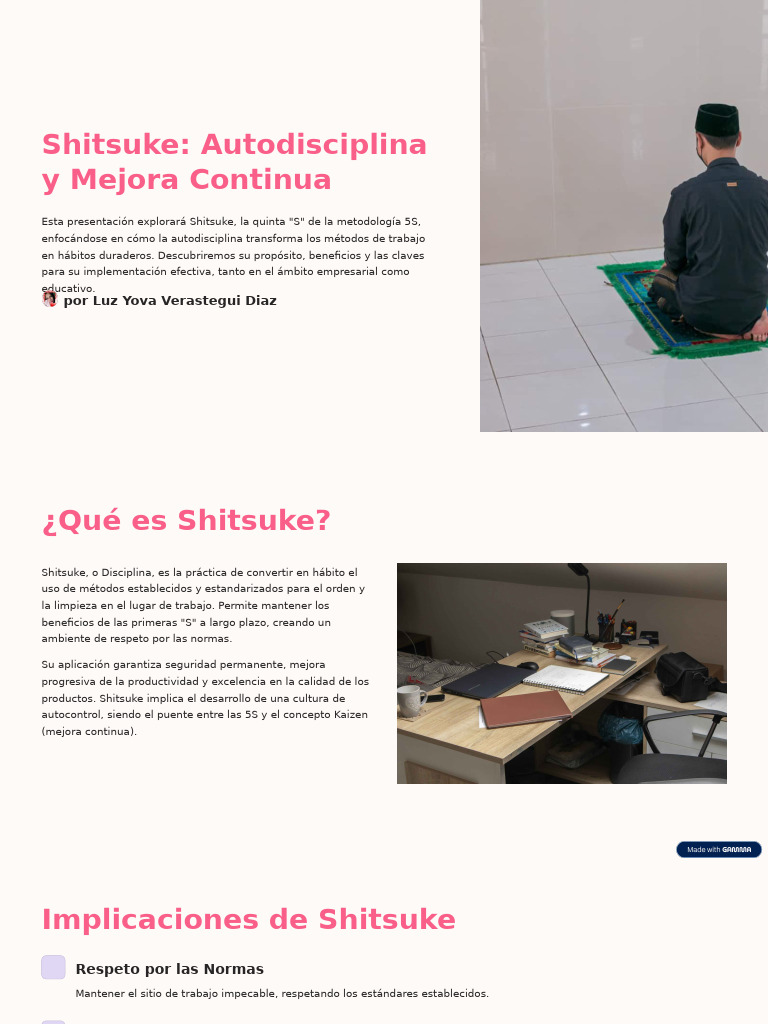 Shitsuke Autodisciplina y Mejora Continua | PDF | Aprendizaje