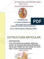 Infecciones Articulares Seminario