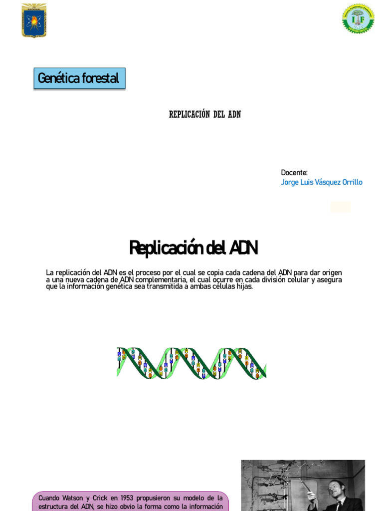 Clase 7 | PDF | Replicación De Adn | Reacción en cadena de la polimerasa