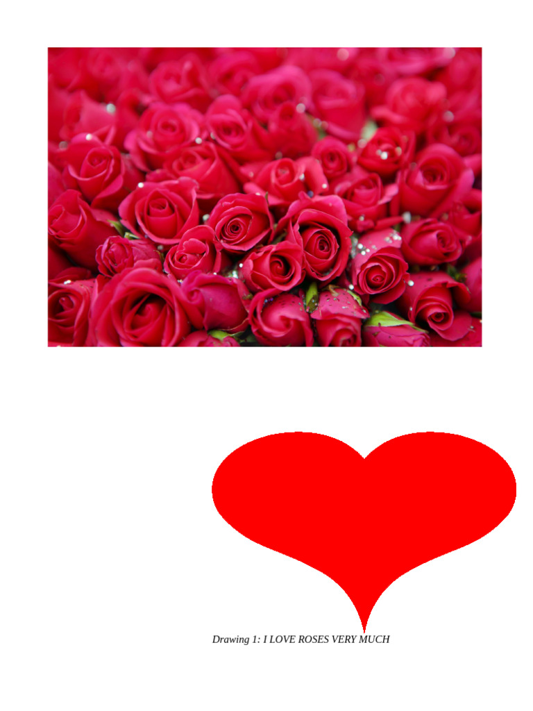 Drawing 1: I Love Roses Very Much | PDF