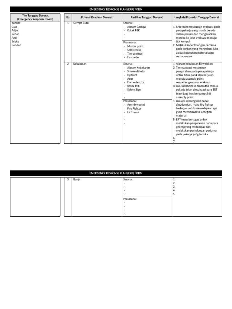 Form ERP | PDF