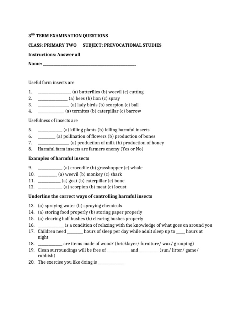 Primary 2 Prevocational Studies Exam | PDF