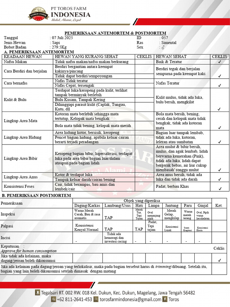 Pemeriksaan Antemortem & Postmortem Sapi | PDF