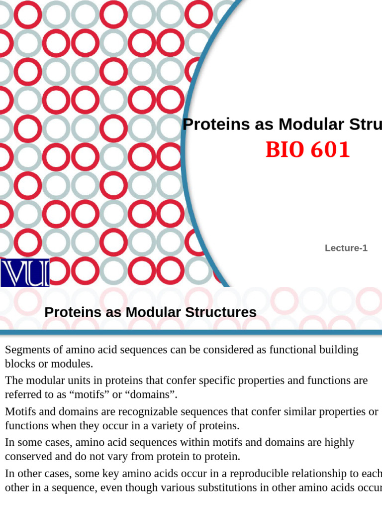114 - Proteins As Modular Structures | PDF
