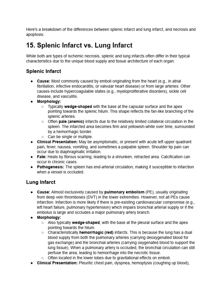 15.splenic Infarct Is Different From Lung Infarct .. | PDF | Apoptosis ...