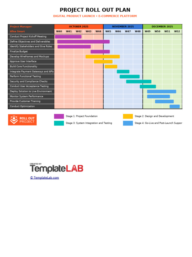 E-Commerce Project Rollout Plan | PDF