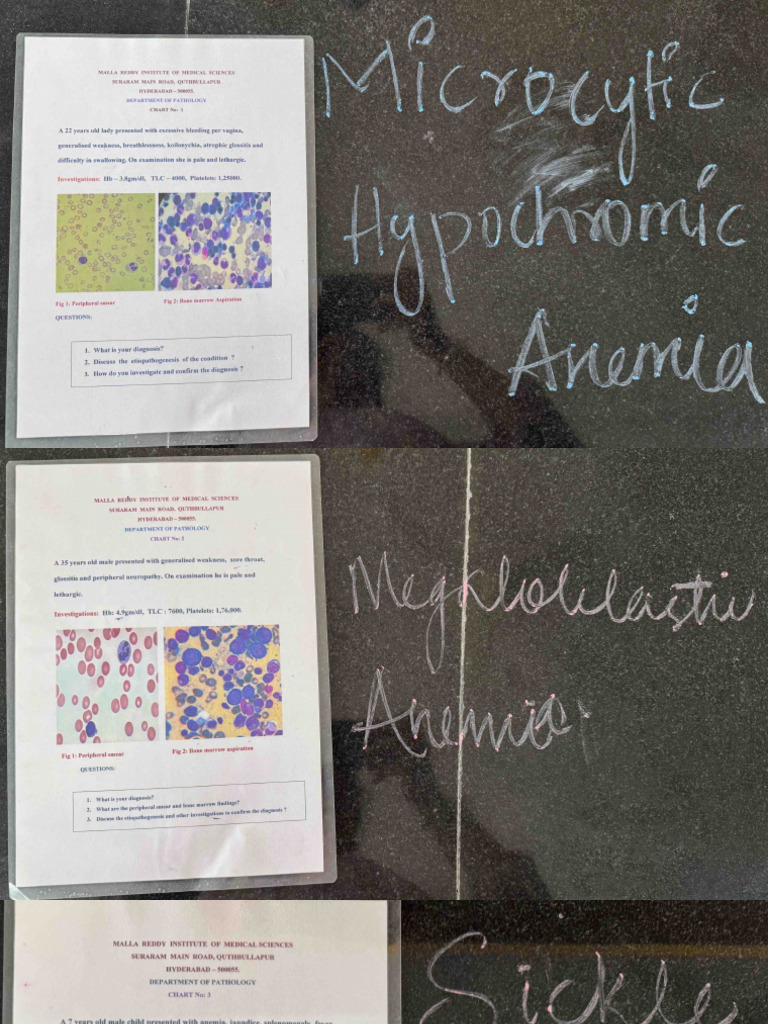 Pathology Charts | PDF