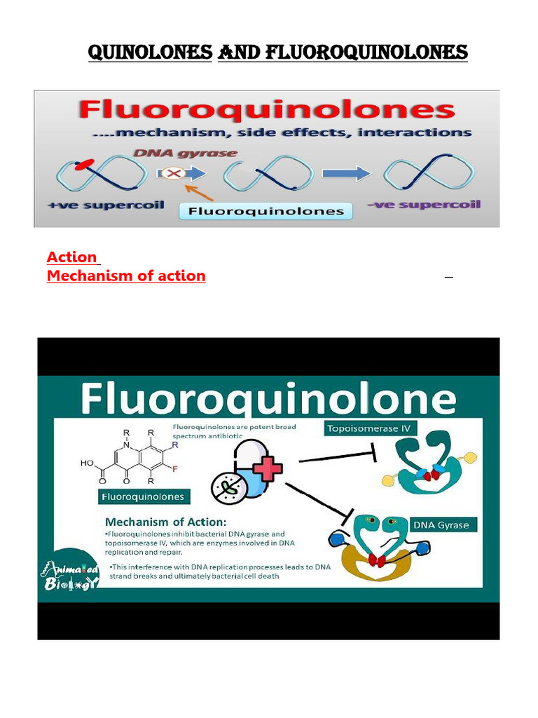 Quinolones & Fluoroquinolones | PDF | Drugs | Pharmacology