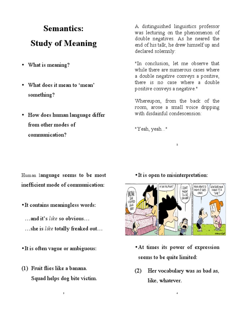 Understanding Semantics and Meaning | PDF | Truth | Proposition