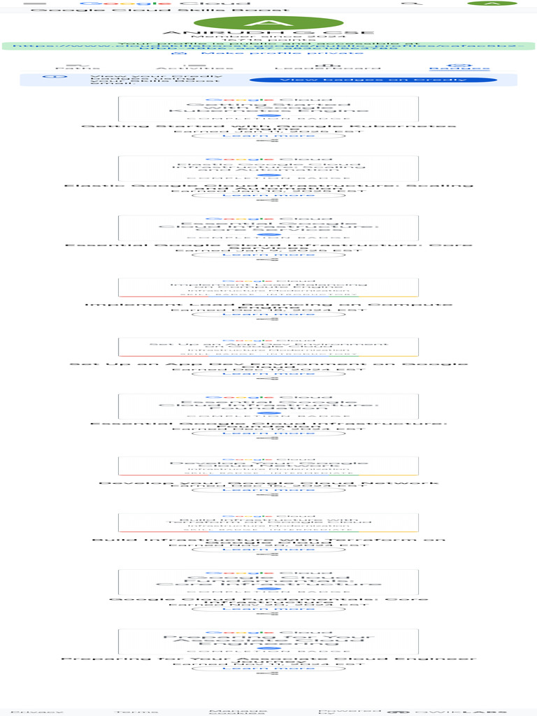 Google Cloud Skills Boost Profile Overview | PDF | Cloud Computing ...
