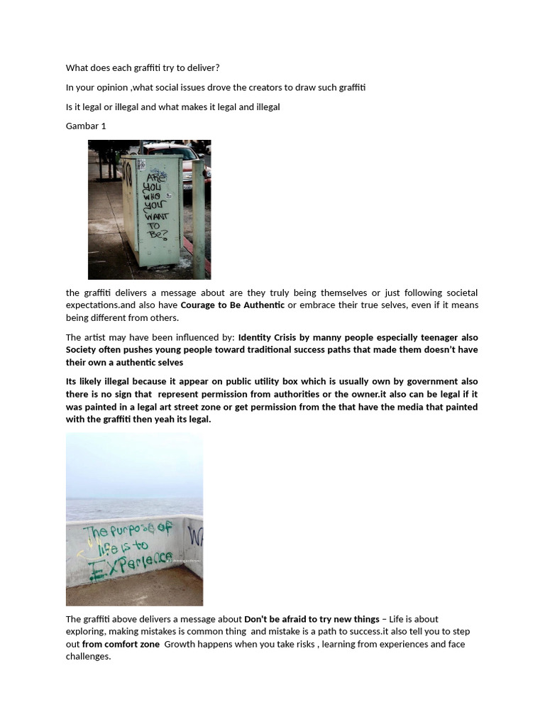 What Does Each Graffiti Try To Deliver | PDF