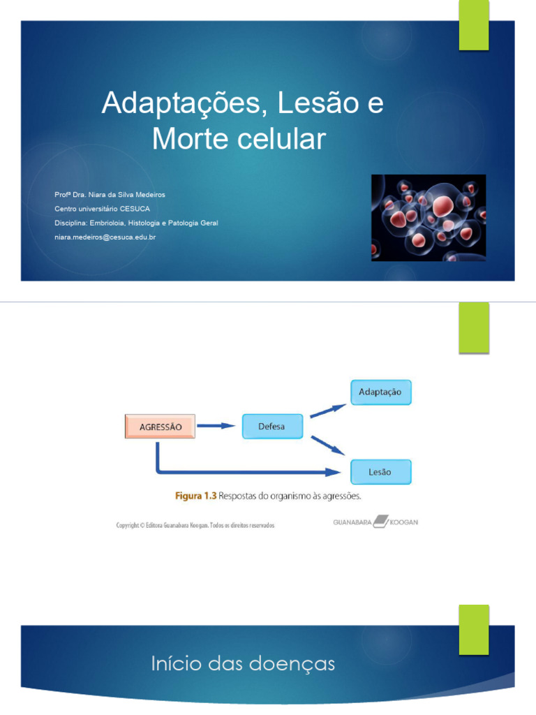 Lesão e Adaptação Celular: Conceitos e Tipos | PDF | Apoptose | Necrose