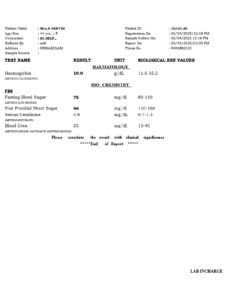 Lab Report | PDF
