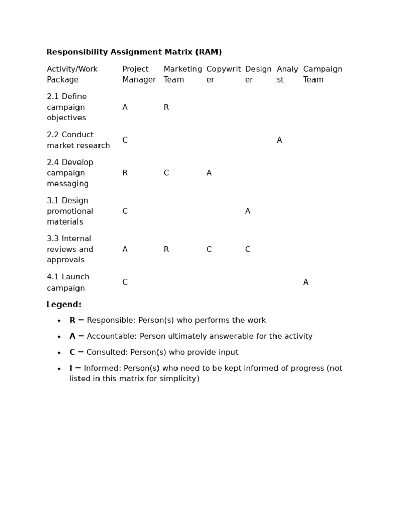 Campaign Responsibility Assignment Matrix | PDF