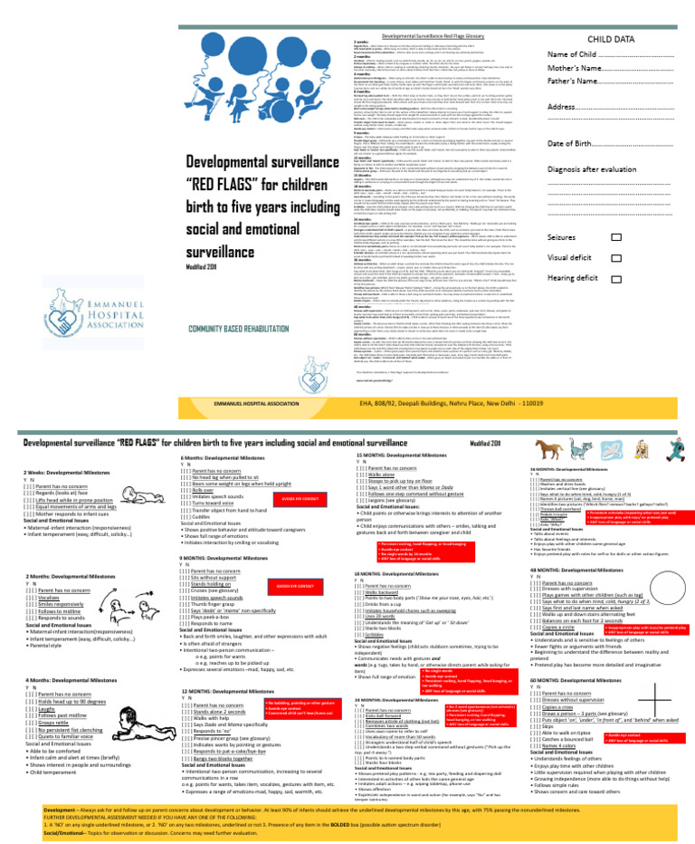 Childcare Red Flag Checklist | PDF | Imitation | Infants