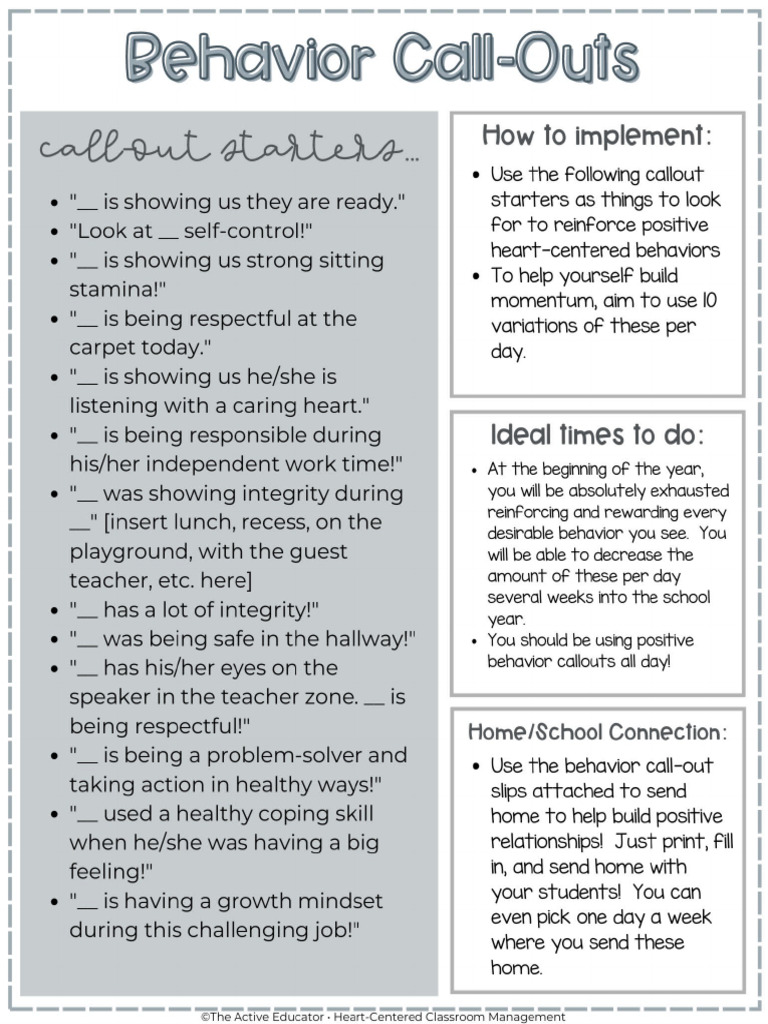 Behavior Call-Outs HCCM Section 5 | PDF