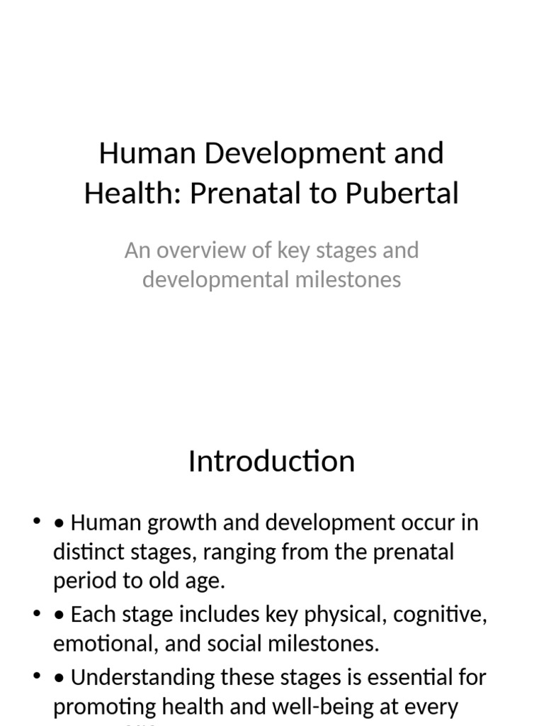 Key Stages of Human Development | PDF