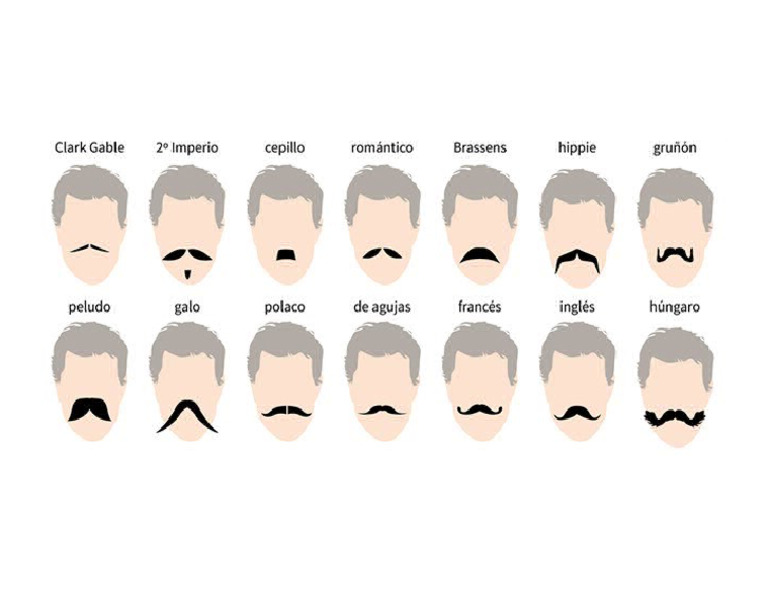 Tipo de Bigotes | PDF