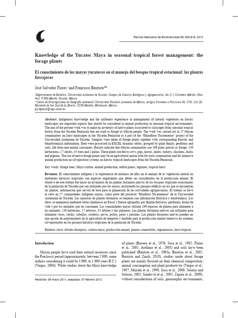 Forage Plants in Yucatec Maya Culture | PDF | Forests | Tropics