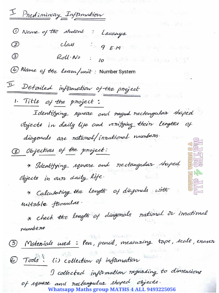 9th Class Maths Project Work Guide | PDF