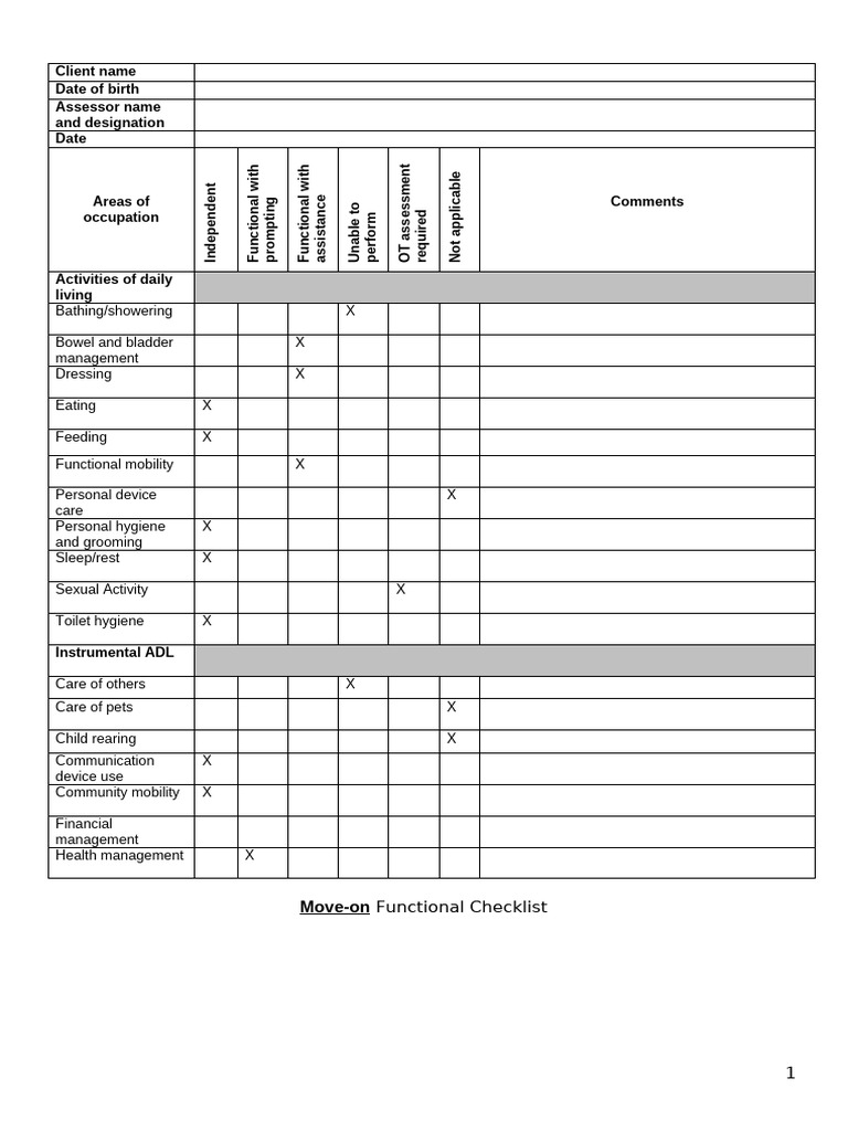 Functional Checklist EDIT | PDF | Self Harm | Hygiene