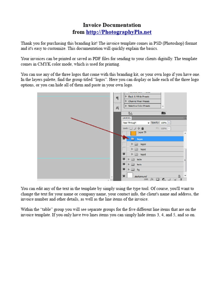 Invoice Documentation | PDF