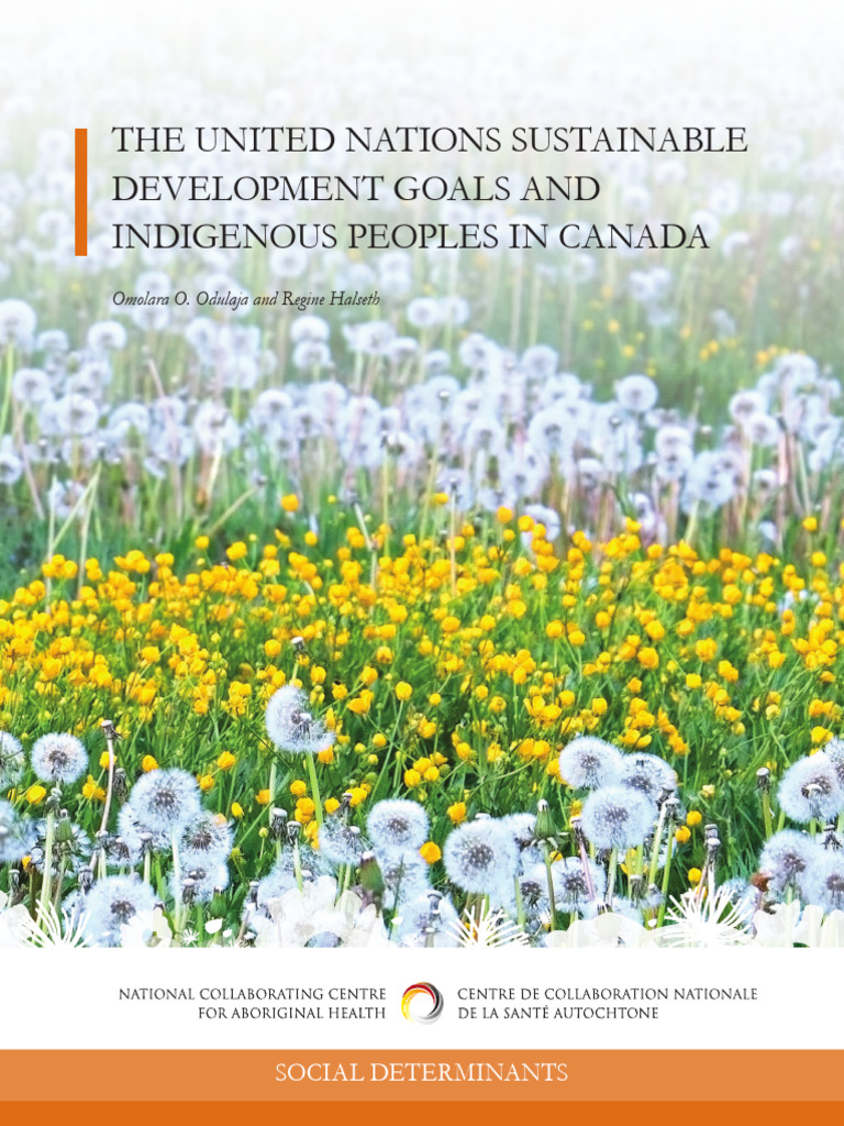 RPT UN SDG IndPeoplesCanada Halseth Odulaja en | PDF | Cost Of Living ...