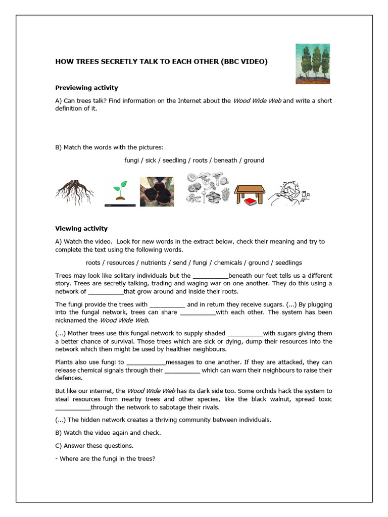 Trees' Hidden Communication Network | PDF | Trees | Fungus