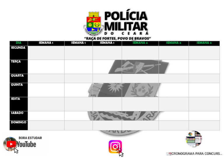 Cronograma de Estudos para Concursos | PDF