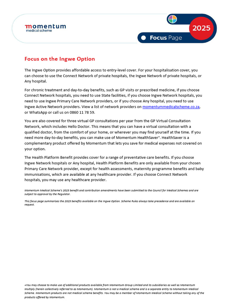 Ingwe Option 2025 Benefits Overview | PDF | Hospital | Magnetic ...
