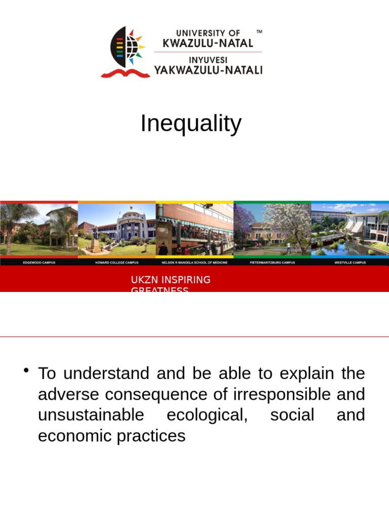 Inequality in South Africa | PDF | Gini Coefficient | Economic Inequality