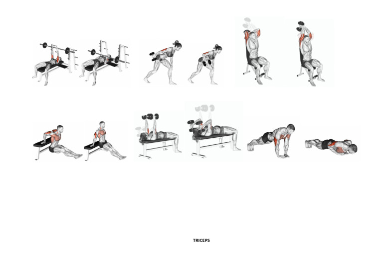 TRICEPS | PDF