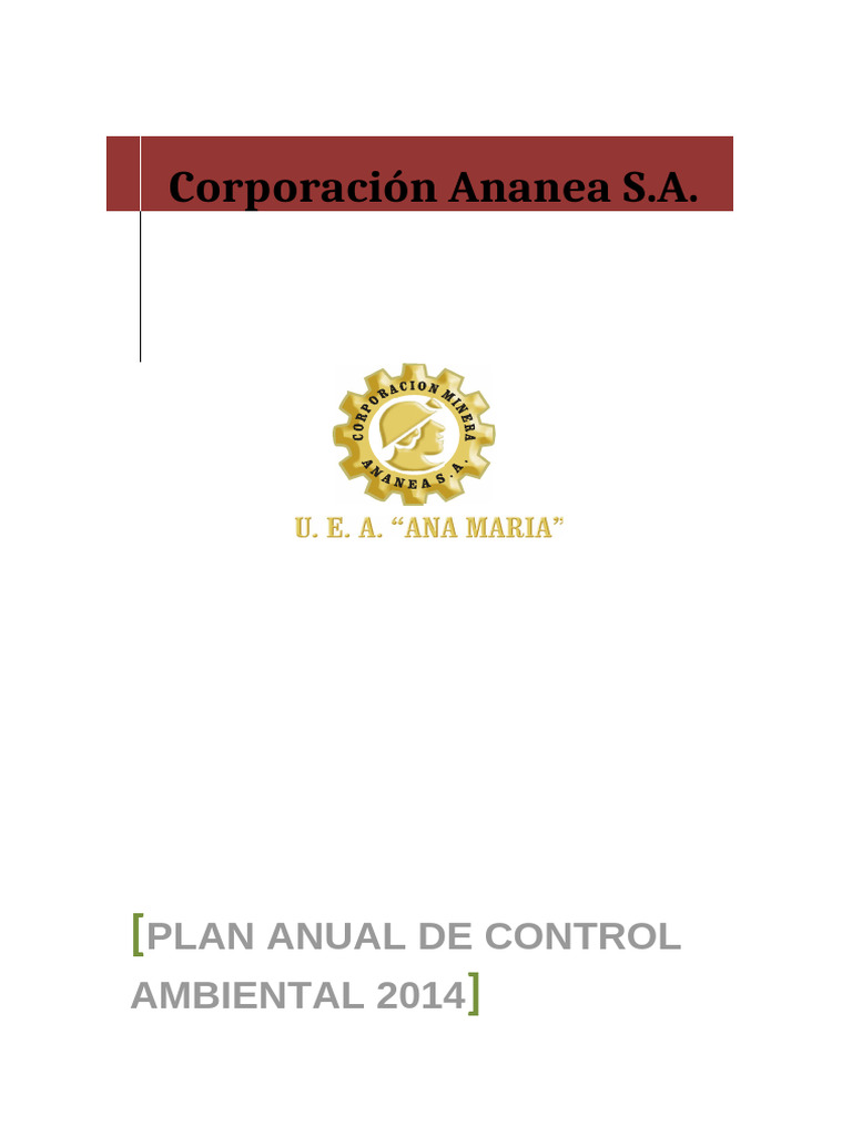 Plan Anual de Control Ambiental V Ii | PDF | Entorno natural | Minería