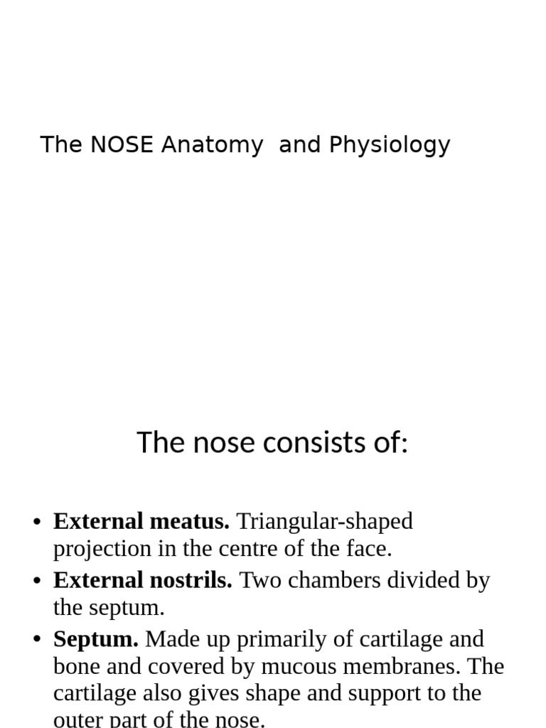 Anatomy and Physiology of the Nose | PDF | Human Nose | Olfaction