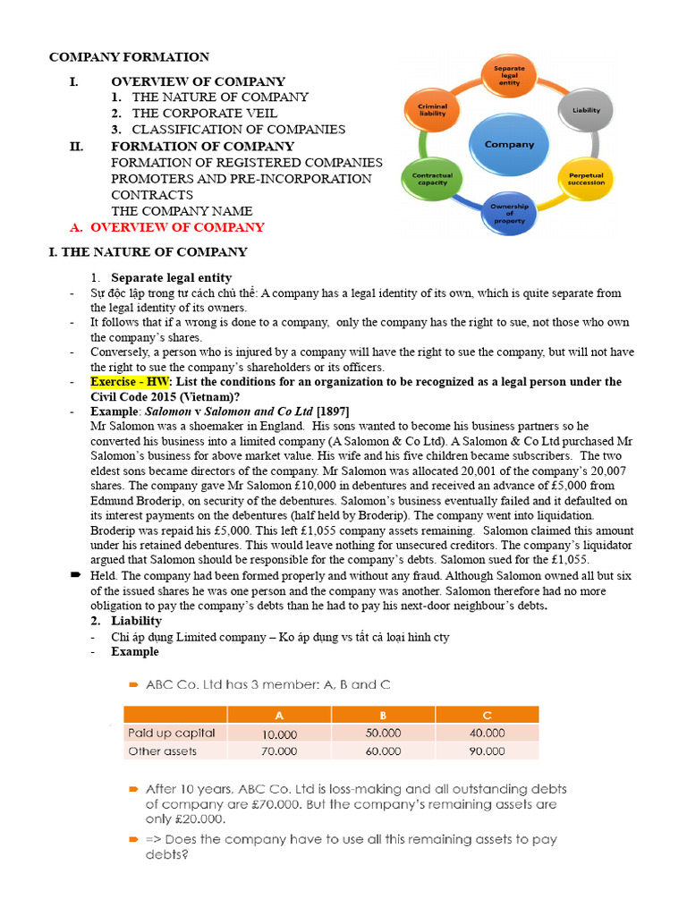 Formation of A Company - HT | PDF | Piercing The Corporate Veil ...