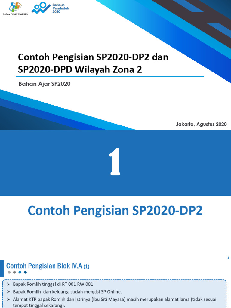 Panduan Pengisian SP2020-DP2 dan DPD | PDF