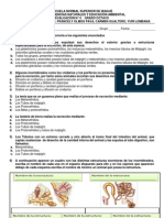 Evaluación 4. Excreción en Invertebrados y Vegetales